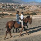 Paardrijden op Porto Santo