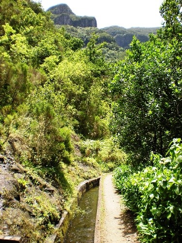 Het Folhadal, Madeira