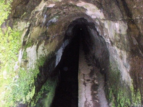 Tunnel langs de levada do Norte
